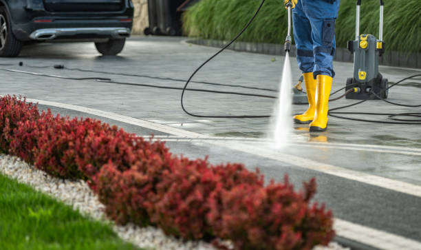 Best Building Exterior Washing  in Macclenny, FL